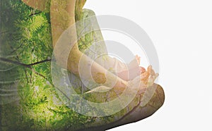 Double exposure-tranquility yoga woman meditation to purify mind, branch large tree spreading on isolated white background, photo