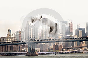 Double exposure of vector female face with Manhattan Bridge skyline