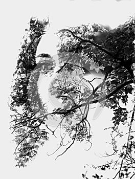 Double exposure of young beautiful girl among the leaves and trees. Portrait of attractive lady combined with photograph of tree.