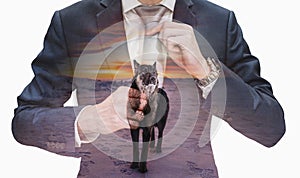 Double exposure young businessman tying necktie with leader wolf in sunset