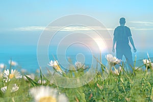 A double exposuref a close up of blurred daises Bellis perennis in a meadow,  with a hiker looking at the sunset. With a dream