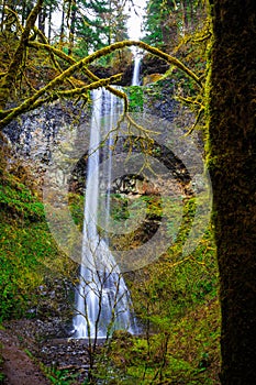 Double Falls at Silver Falls State Park