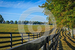 Double fenced horse pasture