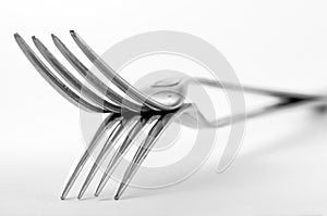 Double fork photo