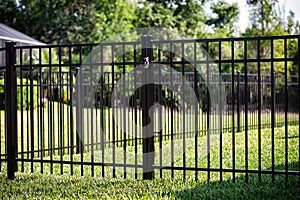 Double Gates Black Aluminum Fence