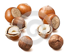 Double hazelnut set isolated on white background. Vertical layout