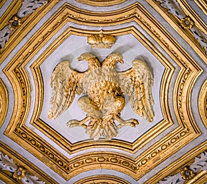 Double headed Eagle emblem of the Habsburg Empire, in the Church of Santa Maria dell`Anima, in Rome, Italy. photo
