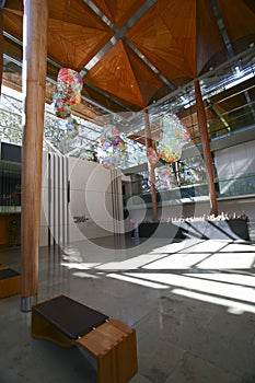 Atrium of Auckland Art Gallery Toi o TÃÂmaki with dendriform canopy ceiling, benches and colorful hung blob artwork, New Zealand