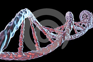 Double helix of DNA