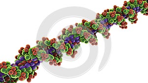 Double helix of DNA, 3D illustration