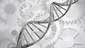 Double helix DNA and gears