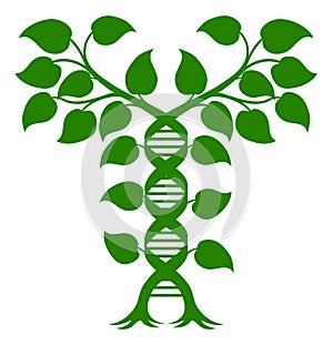 Double Helix DNA Plant Concept