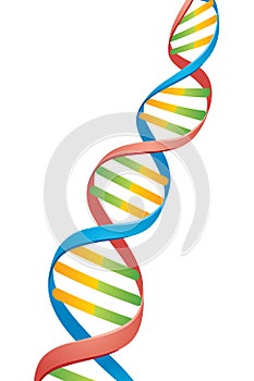 Double Helix DNA Strand