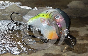 Double hooked fishing lure
