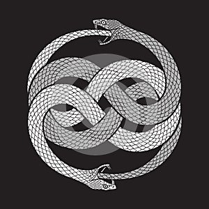 Double ouroboros or uroboros serpent snakes consuming. Tattoo, poster or print design vector illustration