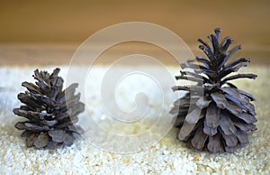 Double pine cone