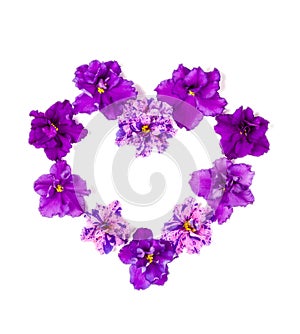 Double purple saintpaulia flowers in the shape of a heart on a white