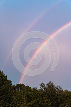 Double rainbow above forest with blue sky after the rain