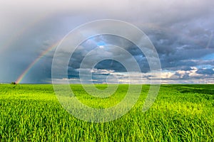 Double rainbow in the blue cloudy dramatic sky over green field and a forest illuminated by the sun in the country side