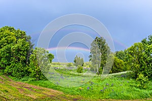 Double rainbow in the blue cloudy sky over green meadow and a forest illuminated by the sun in the country side