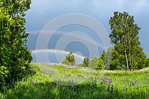 Double rainbow in the blue cloudy sky over green meadow and a forest illuminated by the sun in the country side