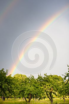 Double rainbow over the garden at summer day