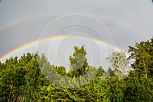 Double rainbow over green forest