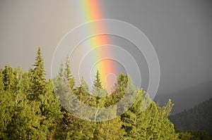 Double rainbow over medow and forest