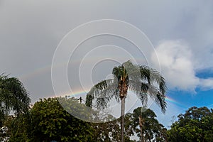 Double rainbow over palm trees