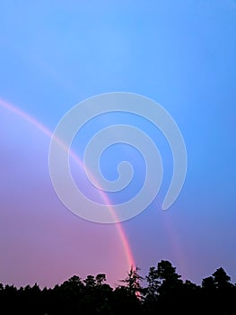 Double rainbow over a row of silhouetted trees.