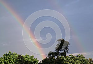 Double rainbow over the tree tops in the evening, Bangkok`s urban, Thailand