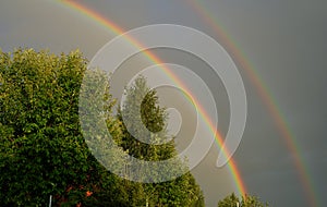 Double rainbow over trees in summer