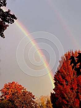 Double rainbow.