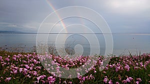 Double rainbow reflecting in the sea water after a rain storm