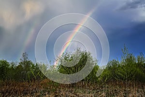 Double rainbow in the sky above the forest before sunset