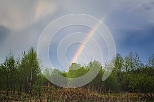 Double rainbow in the sky above the forest before sunset