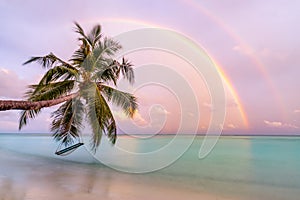 Double Rainbow on sunset beach with palm tree. Tranquil amazing nature landscape, exotic tropical shore