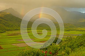 Double Rainbows, Hanalei Valley photo