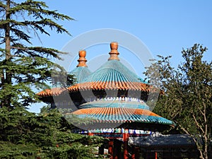 Double-ring-shaped longevity pavilion