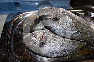 Double Sea Breams On A Metal Plate Ready For Cooking