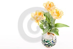 Double soft yellow tulips in a vase on a white background. Spring tulips bouquet isolated.