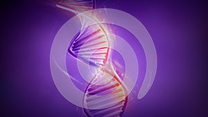 Double-stranded helix DNA model on violet background, 3D render.