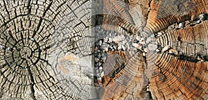 Double weathered wood grain