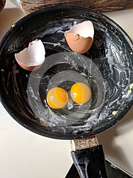 Double yolk egg