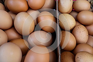 Double yolk eggs compared to single yolk eggs