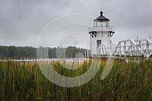 Doubling Point Lighthouse Over Cattail Stand