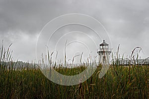 Doubling Point Lighthouse Over Cattail Stand in Fog