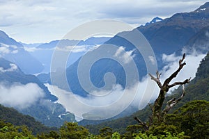 Doubtful Sound photo