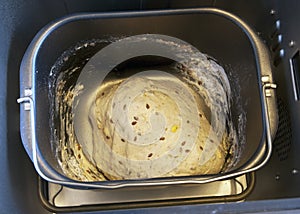 The dough in the bread maker