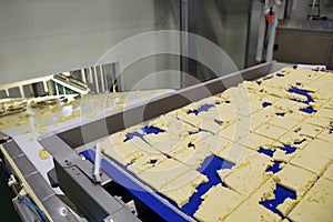 Dough cutting line for biscuits. The latest biscuit production line. Large biscuit factory.